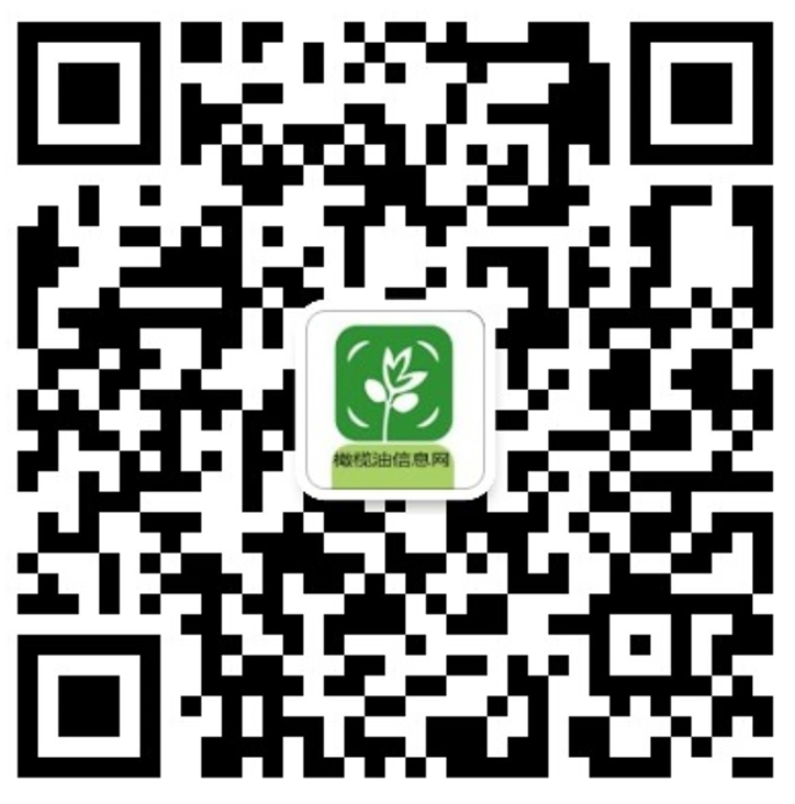 olive oil life wechat