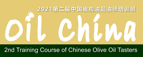 olive oil tasters logo